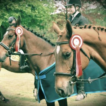 Jeździeckie Mistrzostwa Kaszub